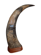 Chinese buffalo horn for sale  WELLINGBOROUGH