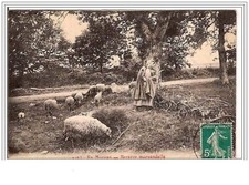 58. morvan .bergere d'occasion  France