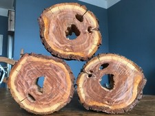 Natur pur baumscheibe gebraucht kaufen  Osterwieck