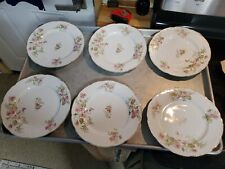 Six plates beautiful for sale  Berwick