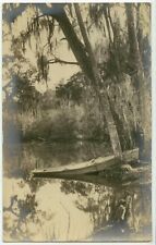 C1910 florida everglades for sale  Topeka