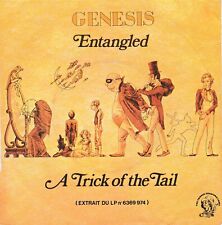 Genesis entangled trick usato  Palermo