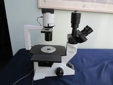 Olympus ck40 inverted for sale  Westport