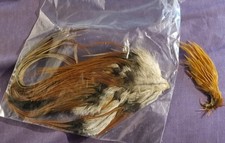 Rooster saddle cape for sale  BARNSLEY