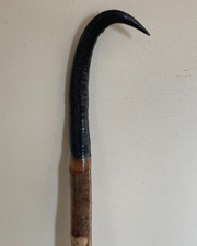 Chamois goat horn for sale  ILKLEY