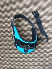 Julius blue dog for sale  WOLVERHAMPTON