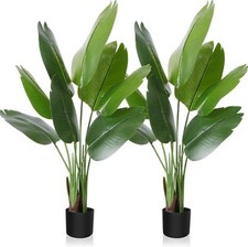 Artificial bird paradise for sale  SALFORD