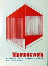 Libro blumencweig panorama usato  Civitanova Marche