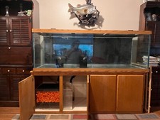 180 gallon aquirium for sale  Cottage Grove