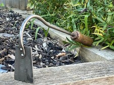 Vintage garden swan for sale  DOVER