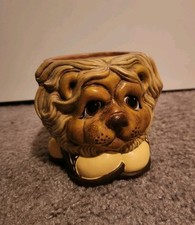 Lion wearing tennis for sale  Hickman