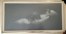 Forma feminina Alexander Canedo grafite em papel comprar usado  Enviando para Brazil