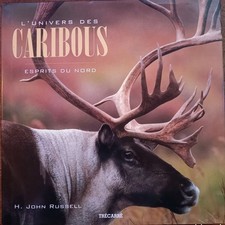 Univers caribous esprits d'occasion Univers caribous esprits d'occasion  Clermont-Ferrand-