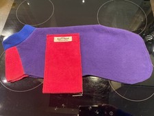 Italian greyhound cosy for sale  HARTLEPOOL