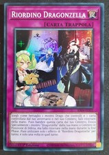 Riordino dragonzella super usato  Venezia