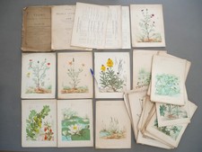 Flore centrale abbé d'occasion Flore centrale abbé d'occasion  Grand-Couronne