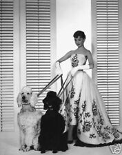 Audrey hepburn 16x20 for sale  Indianapolis