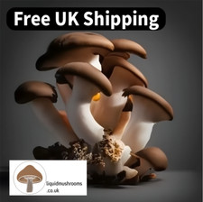 Black pearl king for sale  LONDON