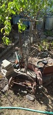 Antique push mower for sale  Pendleton