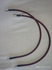 Acoustic revive line usato  Spedire a Italy