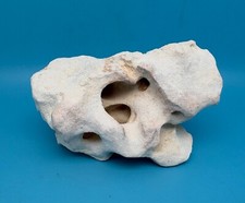 Aquarium terrarium decor for sale  Fort Wayne