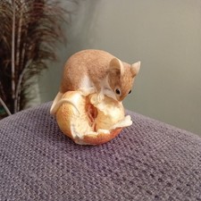 sherratt simpson mice for sale  SUTTON-IN-ASHFIELD