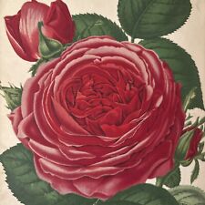 1878 gardener assistant for sale  LONDON