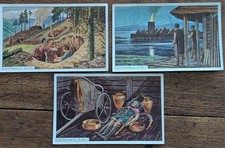 Erdal bildreihen sammelbilder gebraucht kaufen  Calbe (Saale)