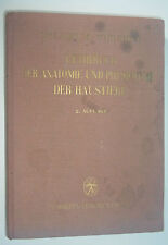 Textbook the anatomy d'occasion  Expédié en Belgium