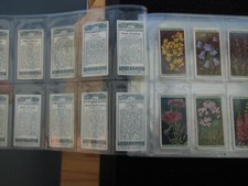 cigarette cards wild flowers for sale cigarette cards wild flowers for sale MELTON MOWBRAY