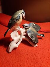 Magnifique couple oiseaux d'occasion  Walincourt-Selvigny