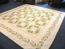 Hand embroidered queen for sale  Skidmore