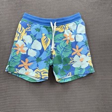 Chubbies 800 island for sale  Round Rock