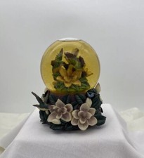 Cadona hummingbird flowers for sale  Surprise