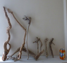 Sea worn driftwood for sale  UK
