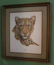 Leopard large framed for sale  Oak Ridge