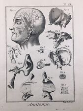 Usado, Anatomia 1779 Neurologia Cabelo Laringologia Gravura Enciclopédie Diderot comprar usado  Enviando para Brazil