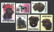 Bouv dogs breed d'occasion  Expédié en Belgium