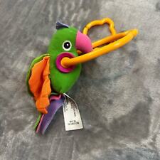 Tiny love parrot for sale  Acton