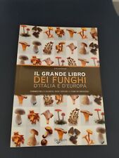 Libro grande libro usato  Poggibonsi