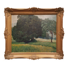 Hans licht 1876 gebraucht kaufen  Frankfurt am Main