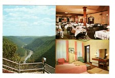 Cartão postal vintage PA Wellsboro Pensilvânia Penn-Wells Hotel sala de jantar comprar usado  Enviando para Brazil