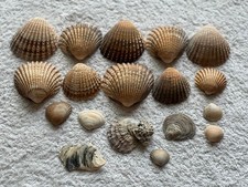 Mix natural sea for sale  ALDERSHOT