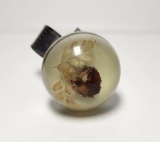 Vintage dried flower for sale  Humble