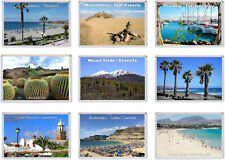 Various canary islands for sale  WEYMOUTH