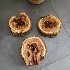 Baumscheibe holzscheibe top gebraucht kaufen Baumscheibe holzscheibe top gebraucht kaufen  Deggendorf