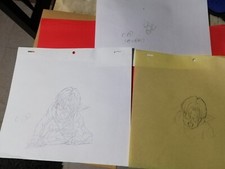 Douga cellulo cel d'occasion  Hirson