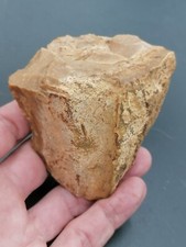 Neanderthal middle paleolithic d'occasion  Bonneville