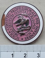 Distintivo smaltato scuola usato  Torino