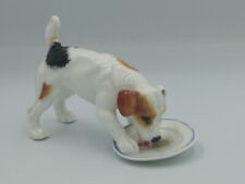 Jack russell licking for sale  DERBY